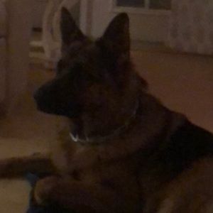 Meet your Posher, Judy